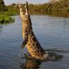 Отель Pousada Rio Claro, фото 26