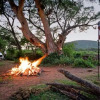 Отель Serengeti Sopa Lodge, фото 7