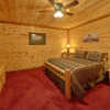 Отель Paradise Point Pool Lodge, фото 8