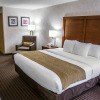 Отель Comfort Inn & Suites Riverview, фото 19