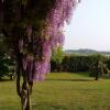 Отель Cosy Detached House, 4 Km Far From Lake Garda, Big Private Garden with Terrace, фото 16