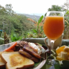 Отель Green Mountain Turrialba, фото 2