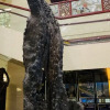 Отель Putian Golden Bay Hotel (Wanda Plaza Branch), фото 7