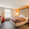 Отель Rodeway Inn & Suites Stroudsburg - Poconos, фото 21