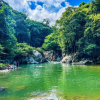 Отель Villa Tayrona, фото 17