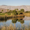 Отель Borrego Springs Resort & Spa, фото 25