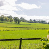 Отель Gateside Farm Cottage, фото 10