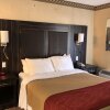 Отель Mississauga Inn and Suites, фото 20