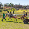 Отель Fazenda Moinho, фото 9