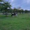 Отель la ferme chevalier, фото 10