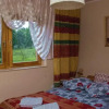 Отель Pensiunea Florilor, фото 8