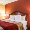 Отель Comfort Inn & Suites, фото 33