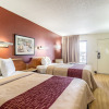 Отель Red Roof Inn Bowling Green, фото 5