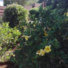 Отель Hamba Kancane Ma-Africa Guest House, фото 7