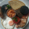Meal