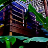 Отель Wild Coffee Retreat (Adults only), фото 28