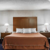 Отель Rodeway Inn & Suites Niagara Falls, фото 4