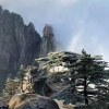 Отель Greentree Inn Huangshan City Huangshan Scenic Area, фото 20