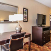 Отель Comfort Inn & Suites Jasper Hwy 78 West, фото 23