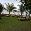 Отель Kalachuchi Beach Resort, фото 34