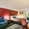 Отель Econo Lodge, фото 4