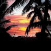 Отель Sunset Palms Rarotonga, фото 5