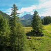 Отель Mont Fort 55, фото 13