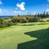 Отель Kapalua Ridge by Coldwell Banker Island Vacations, фото 21