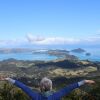 Отель Coromandel Views Bed and Breakfast, фото 17