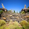 Отель Sooke Harbour House, фото 32