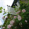 Отель The Mulberry Inn, фото 22