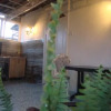 Отель Guest House Temuri, фото 13