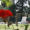 Отель Tenuta La Rocca Di Sillano, фото 5