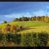Отель Braeside Lodging, фото 8