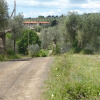 Отель Agriturismo Campospillo, фото 23
