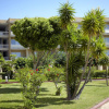Отель Sunshine Rhodes - All Inclusive, фото 44