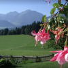 Отель Elsbichlhof Resch, фото 22