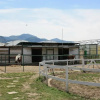 Отель Piccolo Ranch, фото 1