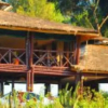 Отель Da Vinci Gorilla Lodge, фото 19