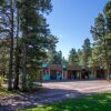 Отель Mountain Pine Motel, фото 1