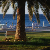 Отель Palm Beach Hotel Südkreta, фото 22