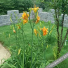 Отель Zhimengjia Hotel, фото 16