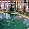 Отель Chateau Monty Spa Resort, фото 13