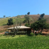 Отель Sítio D. Tereza, фото 5