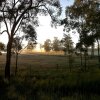 Отель Susan River Homestead, фото 18