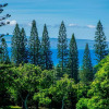 Отель Kapalua Golf Villa 25T4 Gold Ocean View - 2 Br Villa, фото 8