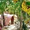 Отель Room in Lodge - Eco-luxe Mayan Dome & Cenote в Тулуме
