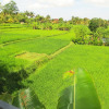 Отель Panorama Ubud Private Villa, фото 16