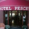 Отель Pescetto, фото 19