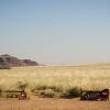 Отель Desert Camp, фото 23